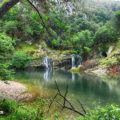 IMG_1808 800ryr